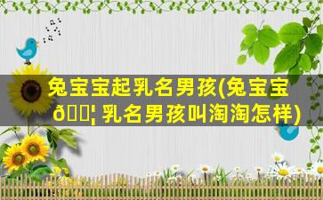 兔宝宝起乳名男孩(兔宝宝 🐦 乳名男孩叫淘淘怎样)
